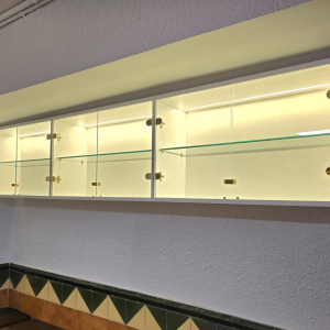 Imagen-de-WhatsApp-2025-01-08-a-las-11.57.21_75132fa3