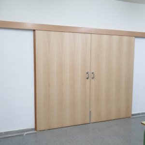 Escola-Sant-Adria-Ajuntament-05-porta-corredera-fusta